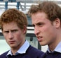 принцы Уильям и Гарри © www.royal.gov.uk