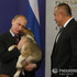 Владимир Путин и его четвероногие подарки. Фото: © РИА Новости. Алексей Никольский.